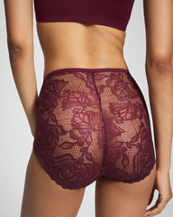 VELVET PLUM - Lace Back Modern Brief Panty | Soma
