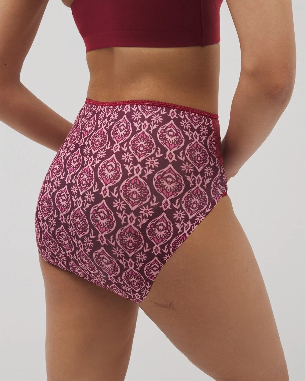 PLENTIFUL PIECES KISS - Vanishing Edge Microfiber Modern Brief Panty with Lace | Soma