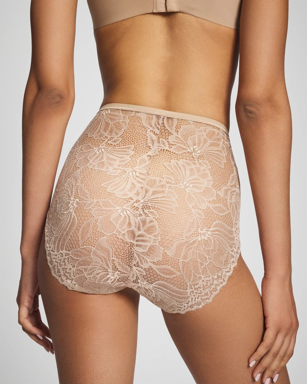 WARM AMBER - Lace Back Modern Brief Panty | Soma